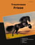 Traumrasse Friese
