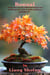 Bonsai,“Coltivare e curare bellissimi bonsai con facilità grazie a una semplice guida per principianti”.
