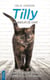 Tilly, un amour de chat