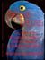 Blue Tara; Or, How Is a Hyacinth Macaw Parrot Like a Tibetan Goddess? - Princess Tara Chronicles, #1