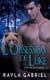L’Obsession de Luke - Ours de Red Lodge, #1