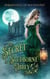 The Secret of Studborne Abbey - The Lady's Guide