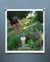 Grow Little Garden  A Children's Poem
