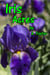 Iris Acres