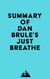 Summary of Dan Brule's Just Breathe