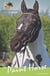 The Paint Horse - White Cloud Station, #10