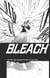 Bleach - T13 - Chapitre 109 - Tel un tigre épargnant les fleurs sur son chemin