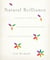 Natural Brilliance - A Buddhist System for Uncovering Your Strengths and Letting Them Shine