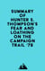 Summary of Hunter S. Thompson's Fear and Loathing on the Campaign Trail '72