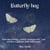 Butterfly hug - Neuropsychology, anxiety management- and emotion regulation with mind maps.