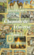 Chemins de Traverse - Tome 2