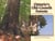 Ontario's Old-Growth Forests