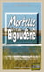 Mortelle Bigoudène - Les enquêtes du capitaine Paoli - Tome 6