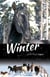 Winter with Horses - White Cloud Station, #7
