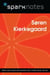 Soren Kierkegaard (SparkNotes Philosophy Guide)