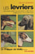 Les lévriers - Greyhound, whippet, sloughi, barzoï, lévrier persan, lévrier afghan, petit lévrier italien