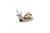 Figurine Escargot des bois - Papo