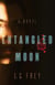 Entangled Moon - A Novel