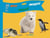 Artic and AntarticWildlife: Explain Interesting and Fun Topics about Animal to Your Child - Kids Love Animals