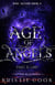 Age of Angels Part II: Lost - Soul Savers Series, #9