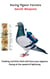 Racing Pigeon Fanciers Secret Weapons