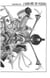 One Piece édition originale - Chapitre 507 - L'arrivée de Kizaru