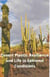 Desert Plants: Resilience and Life in Extreme Conditions
