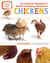 An Absolute Beginner's Guide to Keeping Backyard Chickens - Watch Chicks Grow from Hatchlings to Hens