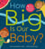 How Big is Our Baby? - A 9-month guide for soon-to-be siblings