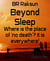 Beyond Sleep - Where is the place of 'no death'? It is everywhere!