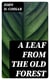 A Leaf from the Old Forest