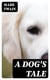 A Dog's Tale