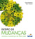 Gestão de mudanças - encare a mudança de outro jeito