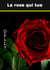 La rose qui tue