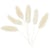 Sachet 6 fleurs plumeau - 3-7 cm