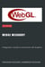 WebGL Wizardry: A Beginner's Guide to Interactive 3D Graphics - WebGL Wizadry