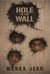 HOLE IN THE WALL