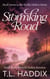 Stormking Road: A Small Town Women's Fiction Romance - Firefly Hollow, #7