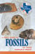 A Field Guide to Fossils of Texas