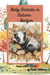 Baby Animals In Autumn - Badger - Woodland Babies