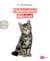 L'éducation du chat - EDUCATION DU CHAT -L' -NC [NUM]