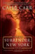 Surrender, New York - A Novel