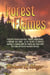 Forest In Flames