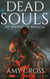The Rise of Ashalla - Dead Souls, #12