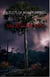 The Killing Code - Quests of Shadowind, #5