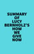 Summary of Lucy Bernholz's How We Give Now