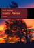 Ivans Reise - Roman