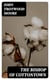 The Bishop of Cottontown - A Story of the Southern Cotton Mills