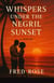 Whispers Under the Negril Sunset - A Novel