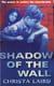 Shadow Of The Wall